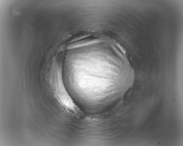 X0000081620817200701291450