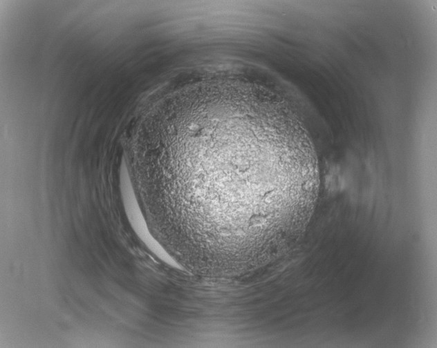 X0000081620819200701291450