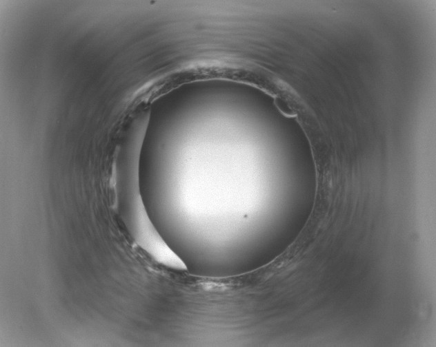 X0000081620822200701291450