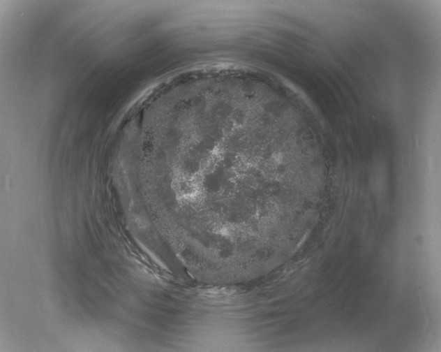 X0000081620823200701291450
