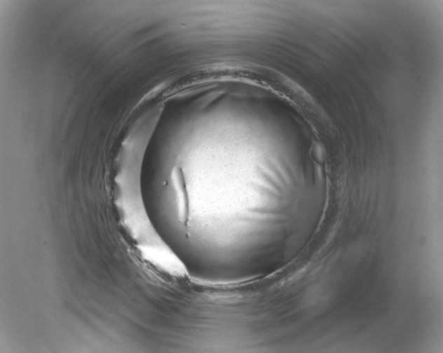 X0000081620825200701291450