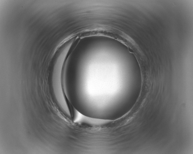 X0000081620826200701291450