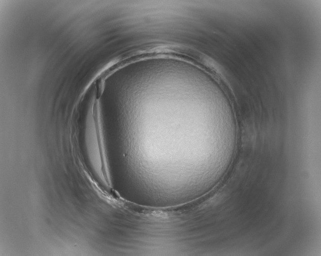 X0000081620827200701291450