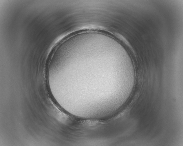 X0000081620831200701291451