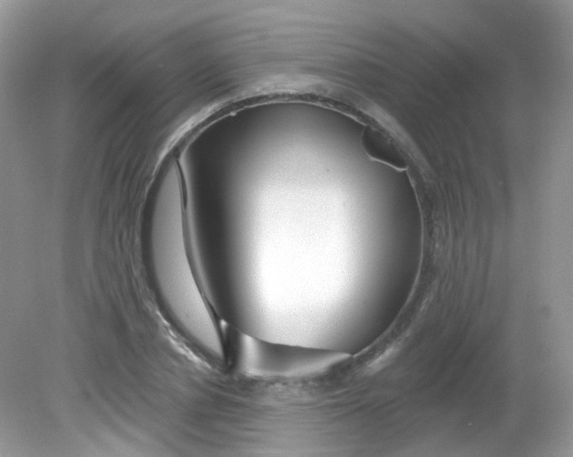 X0000081620834200701291451