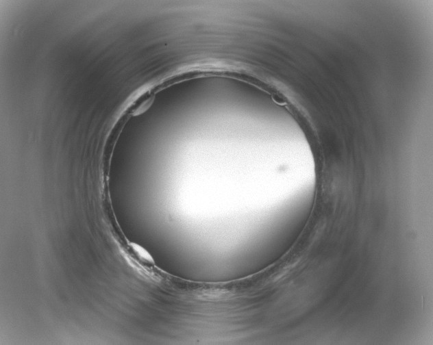 X0000081620837200701291451