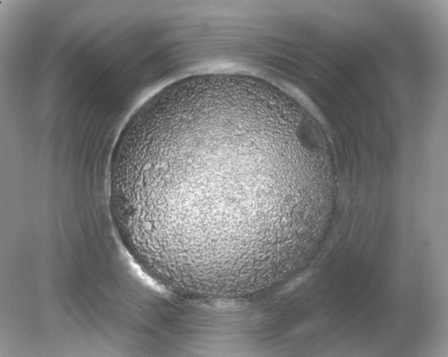 X0000081620839200701291451