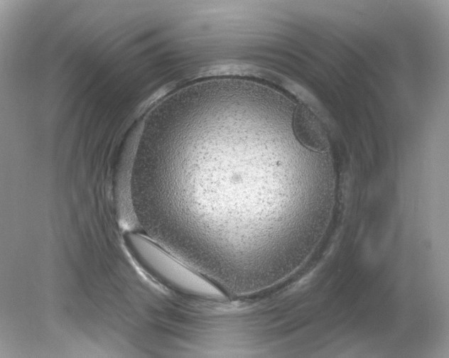 X0000081620841200701291451