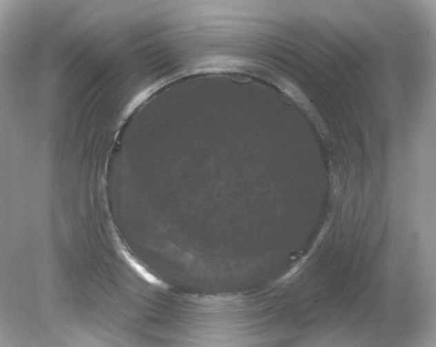 X0000081620842200701291451