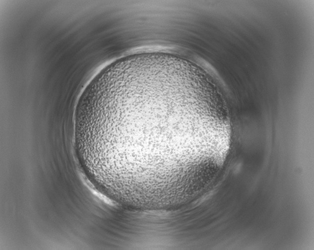 X0000081620844200701291451