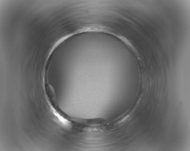 X0000081620846200701291451