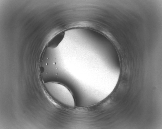 X0000081620850200701291451