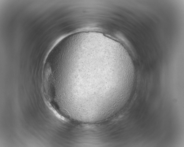 X0000081620852200701291451