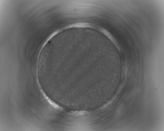 X0000081620853200701291451
