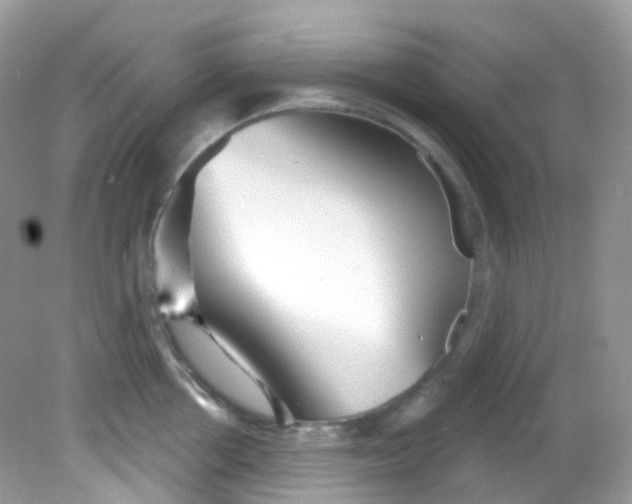 X0000081620858200701291451