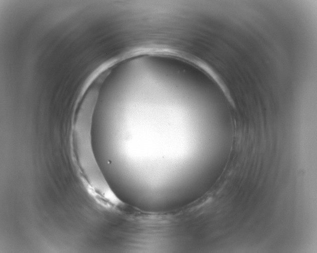 X0000081620861200701291451