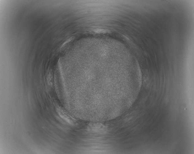 X0000081620866200701291450