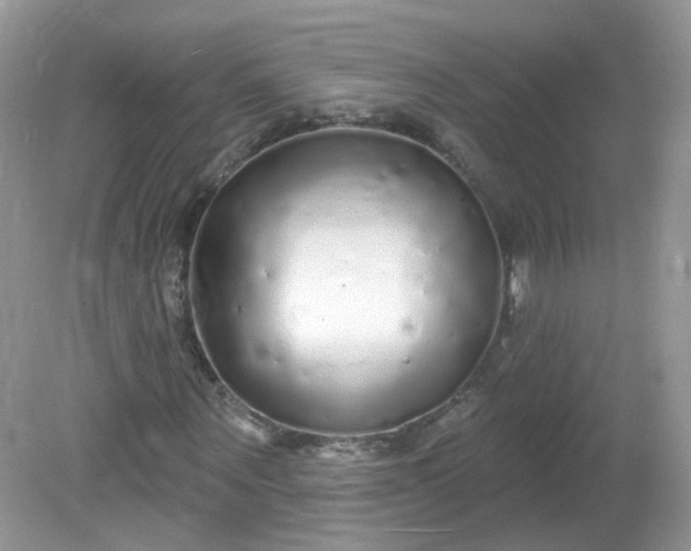 X0000081620867200701291450