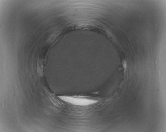 X0000081620868200701291450