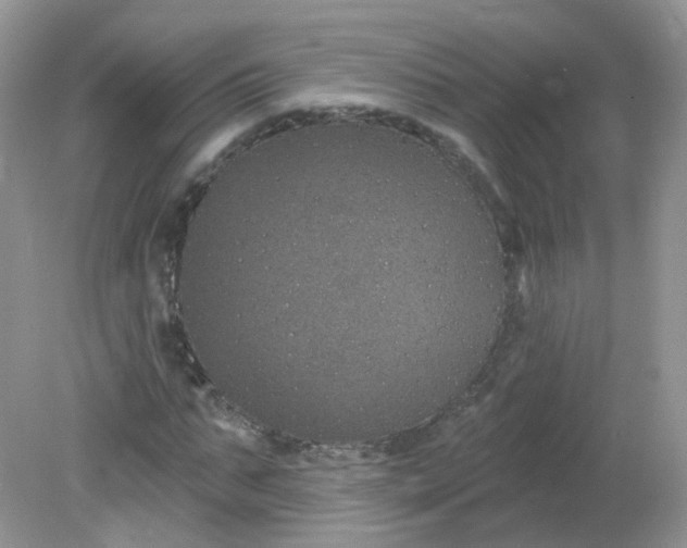 X0000081620871200701291450