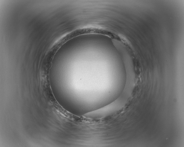 X0000081620872200701291450