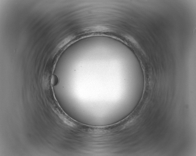 X0000081620873200701291450