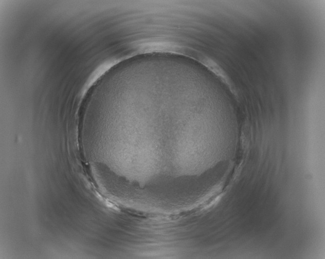 X0000081620877200701291450