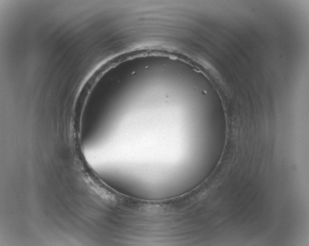 X0000081620880200701291450