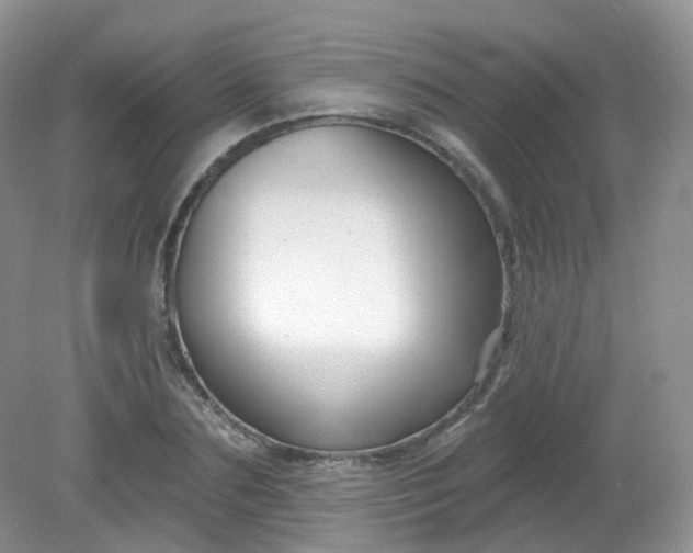 X0000081620883200701291450