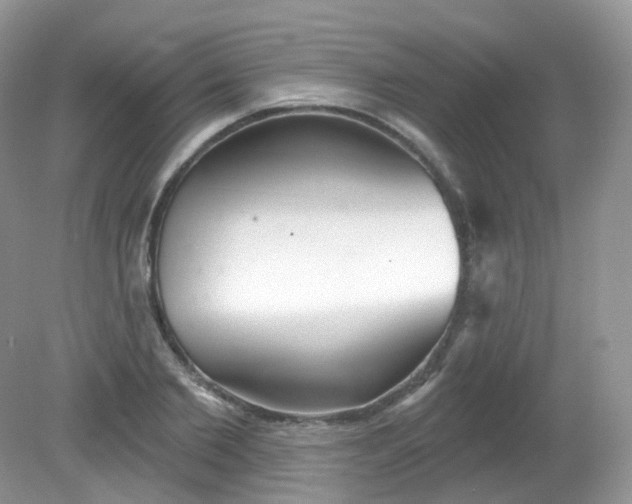 X0000081620885200701291450