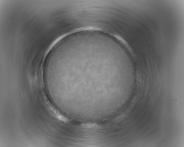 X0000081620886200701291450