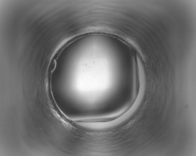 X0000081620888200701291450