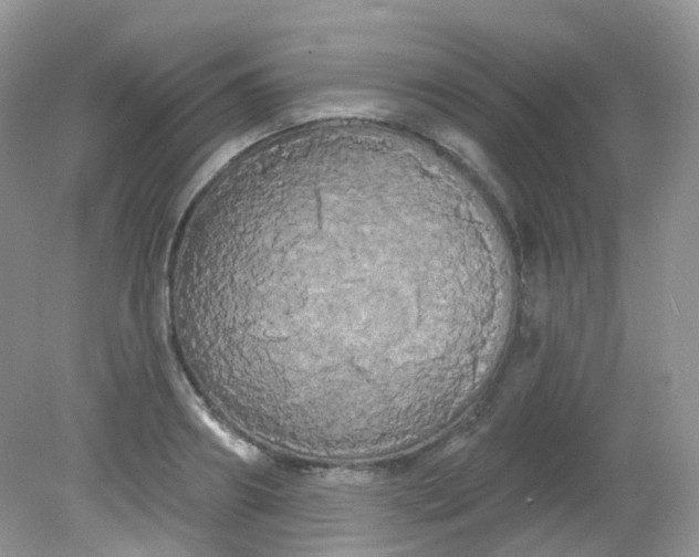 X0000081620890200701291450