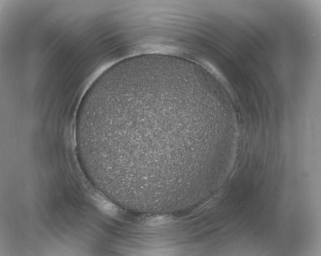 X0000081620891200701291450
