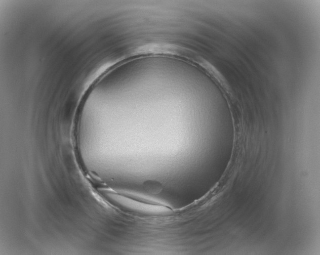 X0000081620893200701291450