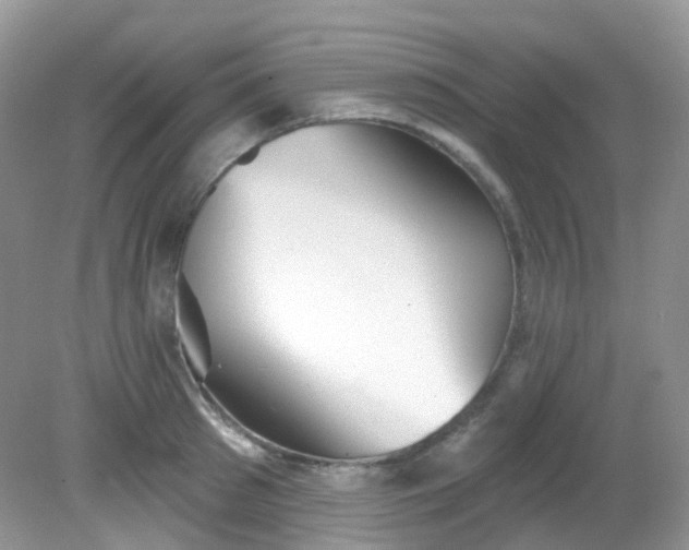 X0000081620897200701291450