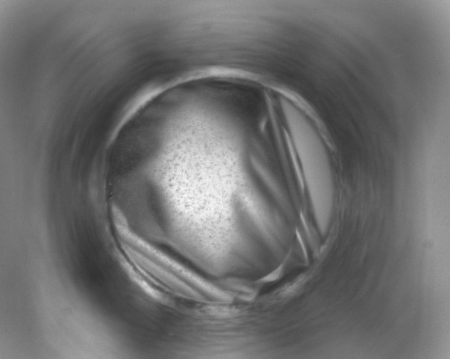 X0000081620910200701291450