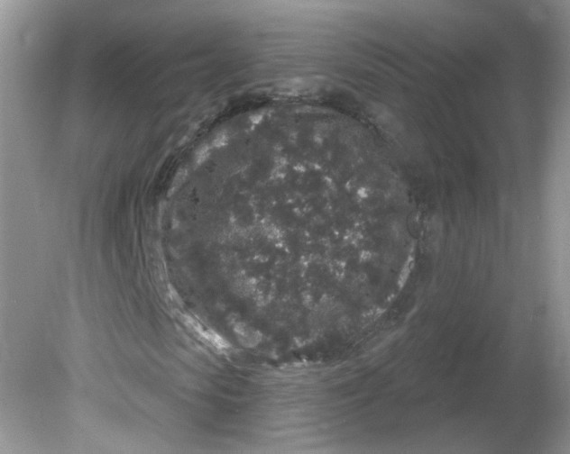 X0000081620913200701291449