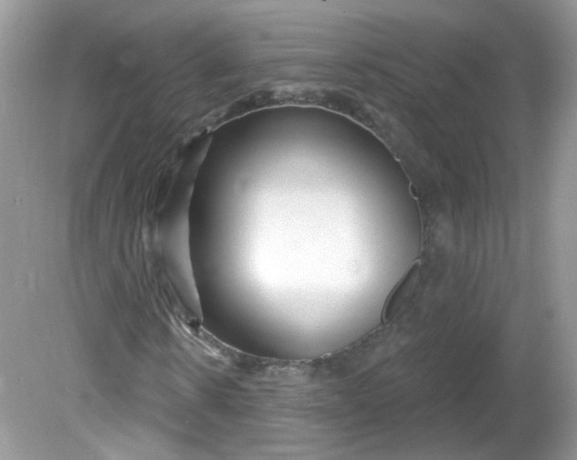 X0000081620914200701291449