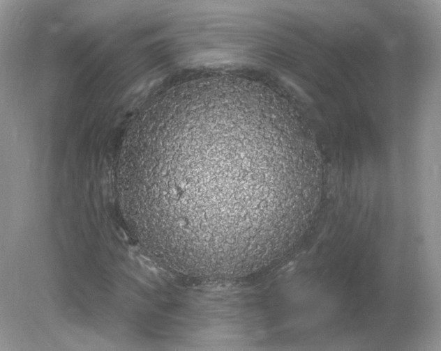 X0000081620917200701291449