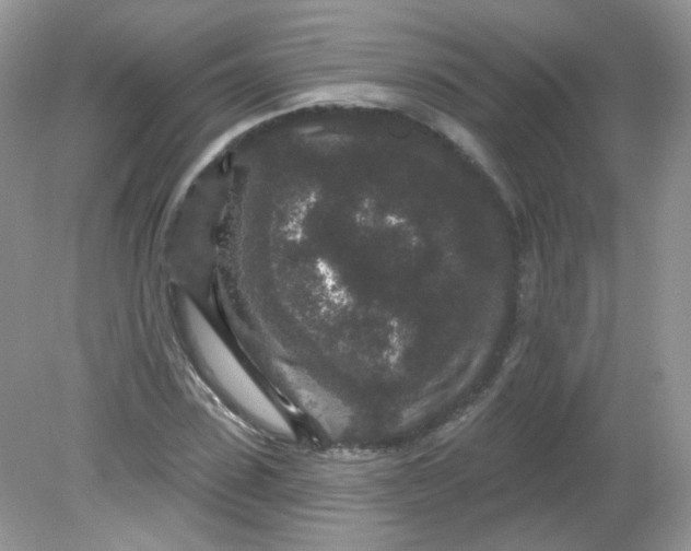 X0000081620923200701291449