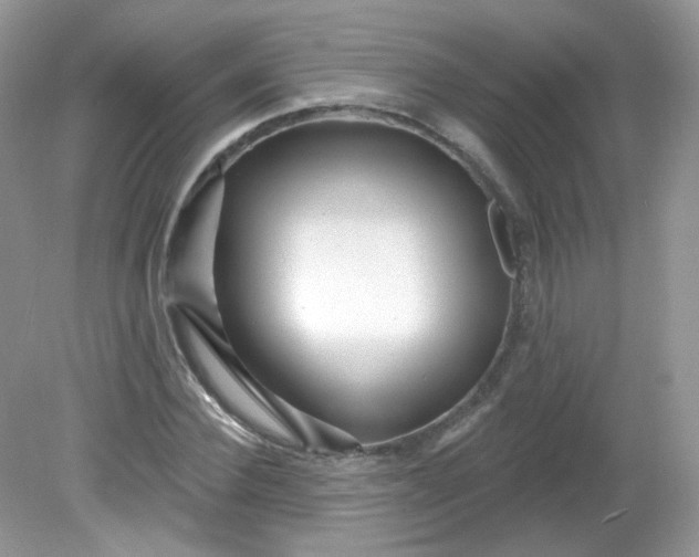 X0000081620924200701291449