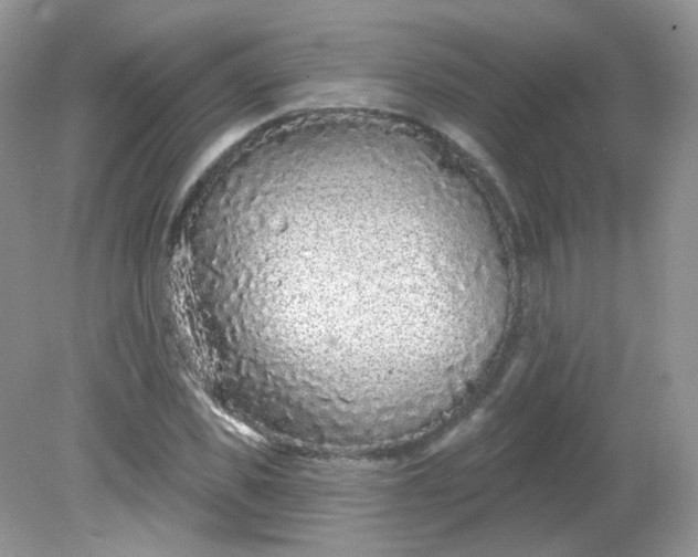 X0000081620925200701291449