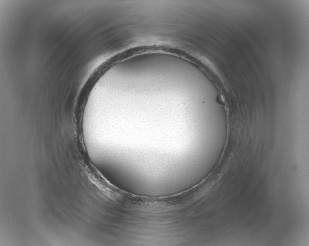 X0000081620927200701291449