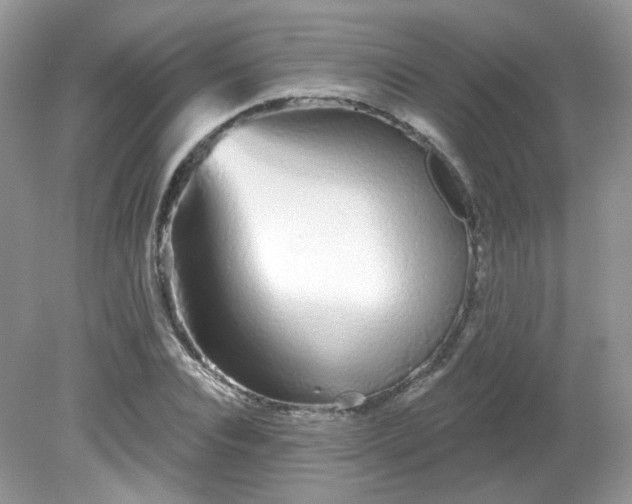 X0000081620928200701291449