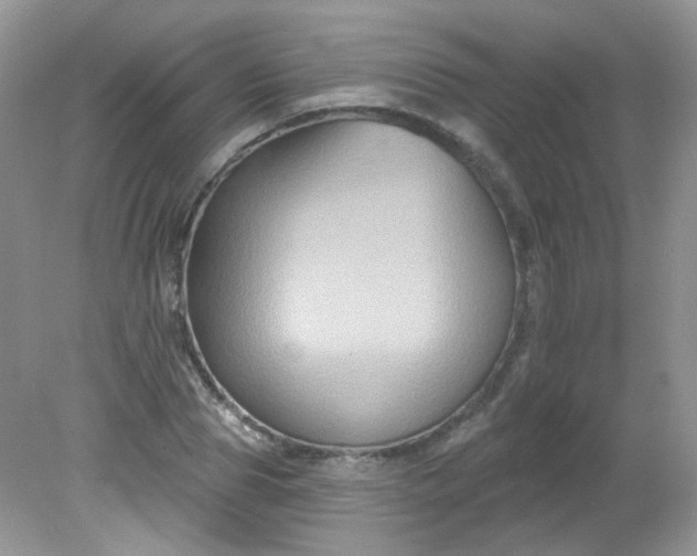 X0000081620929200701291449