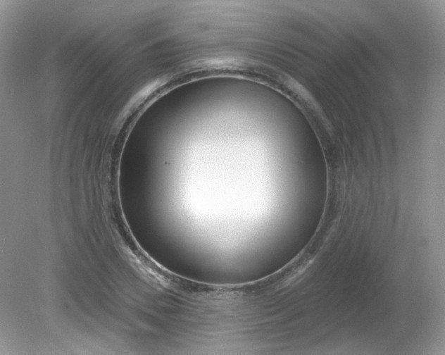 X0000081620930200701291449