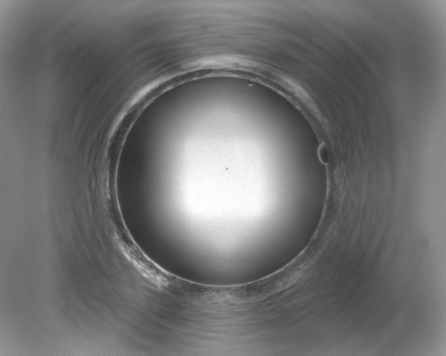 X0000081620931200701291449