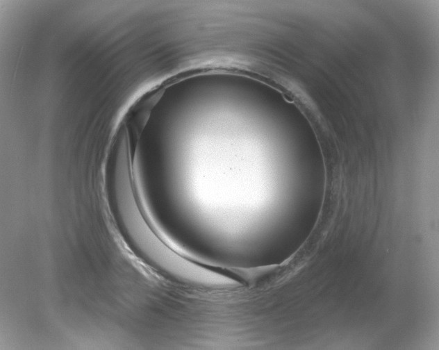X0000081620936200701291449