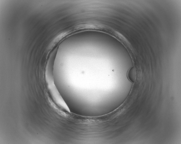 X0000081620938200701291449